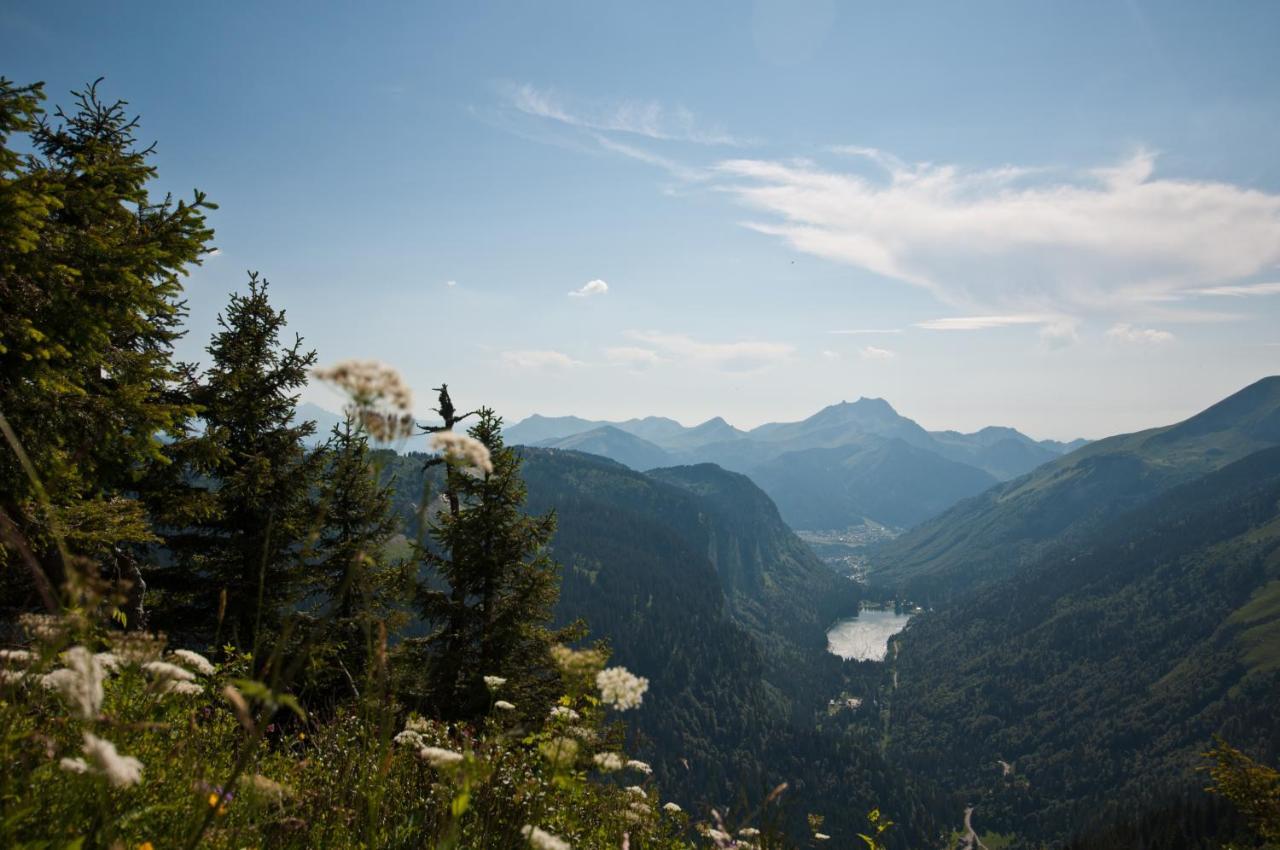 Chalet Sur Les Monts Morzine Montriond Luaran gambar