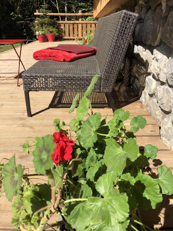 Chalet Sur Les Monts Morzine Montriond Luaran gambar